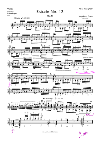 Napoléon Coste Estudo Op. 38 Nr 12 score for Acoustic Guitar