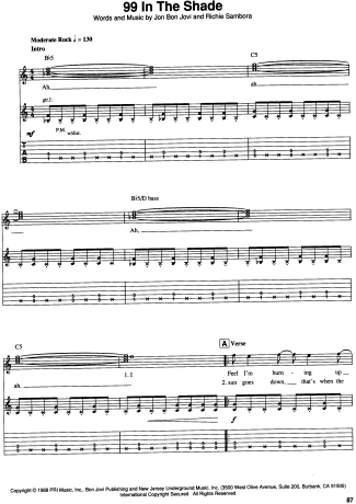 22248 Sheet music - 99 In The Shade - Guitar