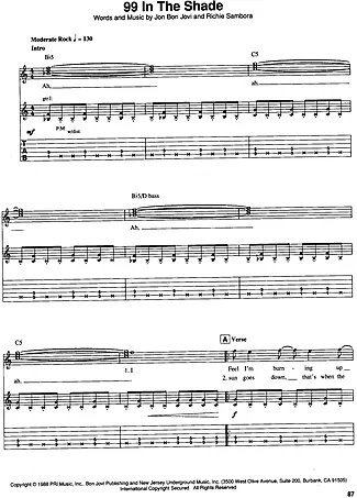 22248 Partitions - 99 In The Shade - Guitare