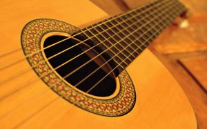 Brazilian Acoustic Guitar