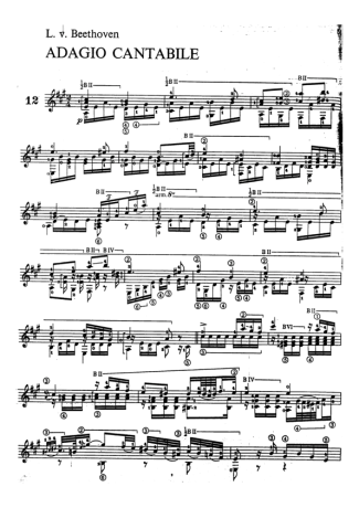 Beethoven  score for Acoustic Guitar