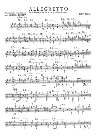 Beethoven Allegretto score for Acoustic Guitar