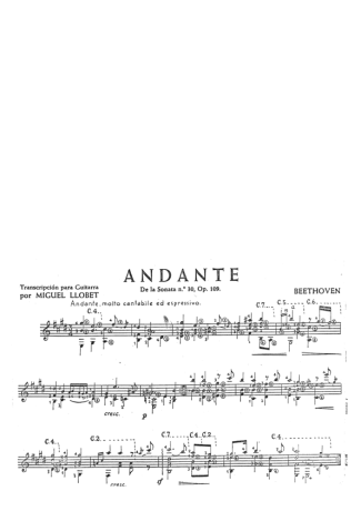 Beethoven Andante (Sonata Nº30 Op 109) score for Acoustic Guitar