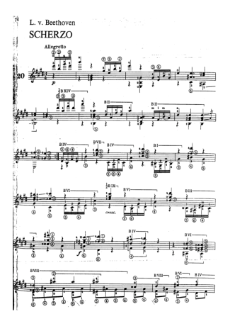 Beethoven  score for Acoustic Guitar