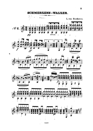 Beethoven Schmerzens Walzer score for Acoustic Guitar