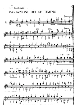Beethoven Variazione Del Settimino score for Acoustic Guitar