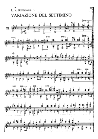 Beethoven  score for Acoustic Guitar