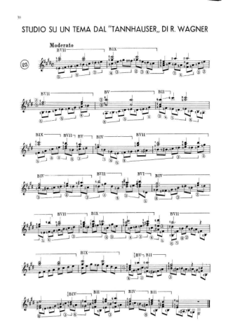 Francisco Tárrega  score for Acoustic Guitar