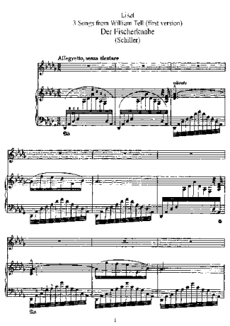 Franz Liszt  score for Piano