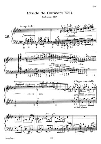 Franz Liszt Études De Concert Nº01 S.144 score for Piano