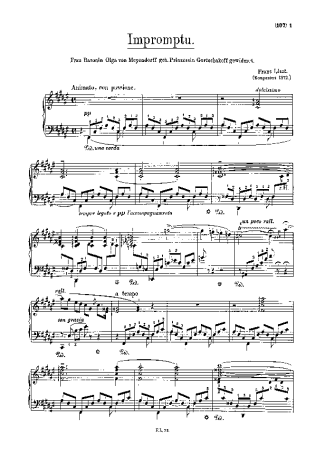 Franz Liszt Impromptu S.191 score for Piano