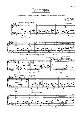 Franz Liszt  score for Piano