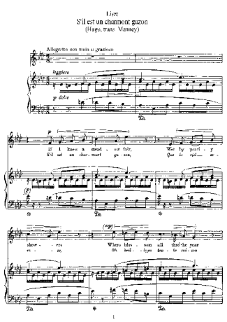 Franz Liszt  score for Piano