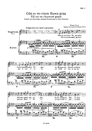 Franz Liszt  score for Piano