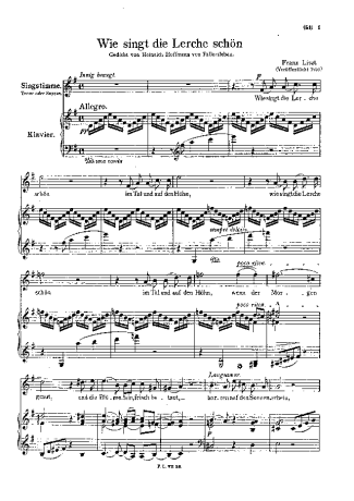 Franz Liszt  score for Piano