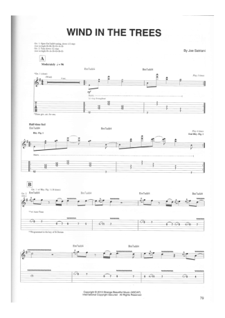 Joe Satriani  score for Guitar