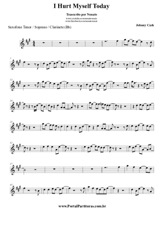 Johnny Cash I Hurt Myself Today score for Clarinet (Bb)