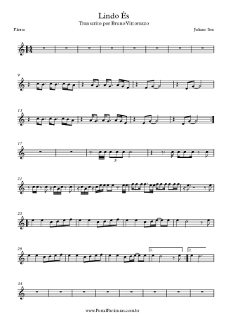 Ton Carfi - Minha Vez - Sheet Music For Tenor Saxophone Soprano (Bb)