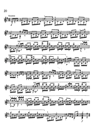 Mauro Giuliani Estudo 20 Op 48 score for Acoustic Guitar