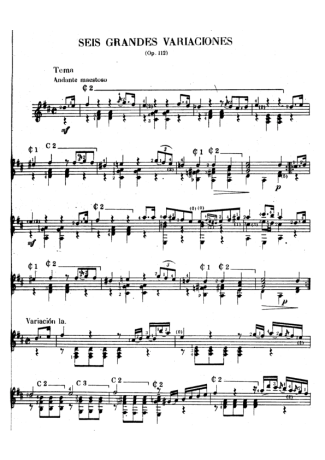 Mauro Giuliani Seis Grandes Variaciones Op 112 score for Acoustic Guitar