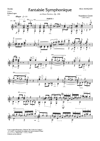 Napoléon Coste Fantaisie Symphonique en Deux Partes Op. 28b score for Acoustic Guitar