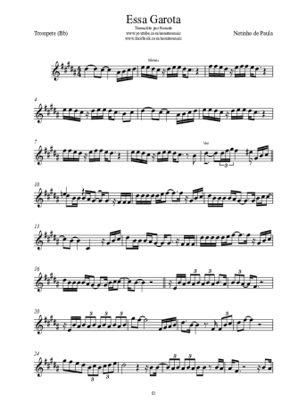 Netinho de Paula Essa Garota score for Trumpet