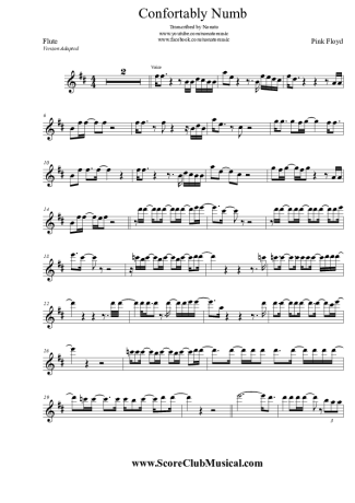 Pink Floyd  score for Flute