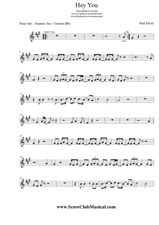 Pink Floyd Hey You score for Clarinet (Bb)