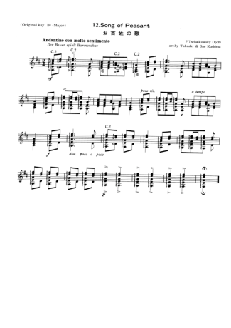 Tchaikovsky  score for Acoustic Guitar