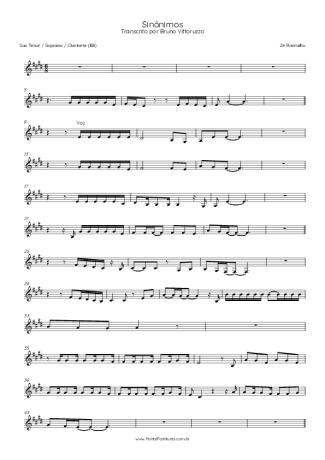 Zé Ramalho Sinônimos score for Clarinet (Bb)