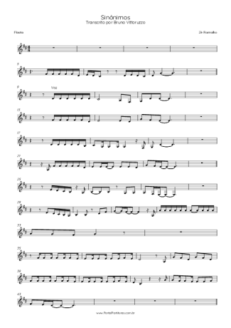 Zé Ramalho Sinônimos score for Flute